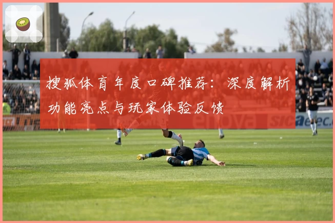 搜狐体育年度口碑推荐：深度解析功能亮点与玩家体验反馈