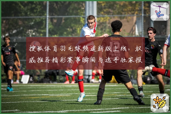 搜狐体育羽毛球频道新版上线，权威推荐精彩赛事瞬间与选手独家报道