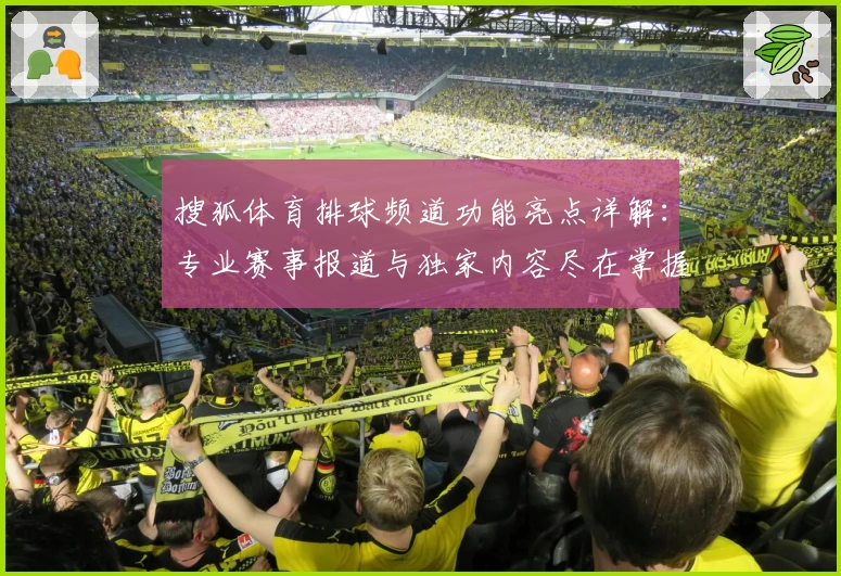 搜狐体育排球频道功能亮点详解：专业赛事报道与独家内容尽在掌握