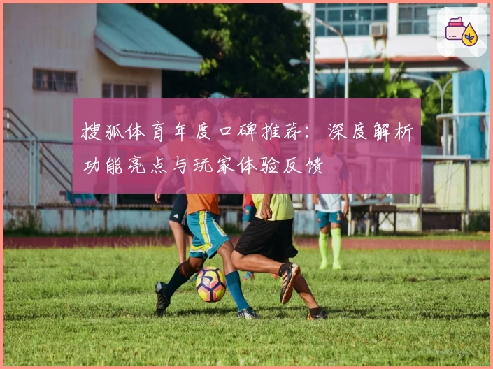 搜狐体育年度口碑推荐：深度解析功能亮点与玩家体验反馈