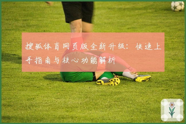 搜狐体育网页版全新升级：快速上手指南与核心功能解析