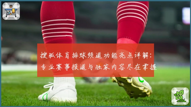 搜狐体育排球频道功能亮点详解：专业赛事报道与独家内容尽在掌握