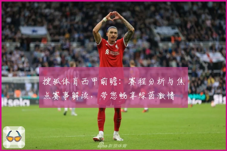 搜狐体育西甲前瞻：赛程分析与焦点赛事解读，带您畅享绿茵激情
