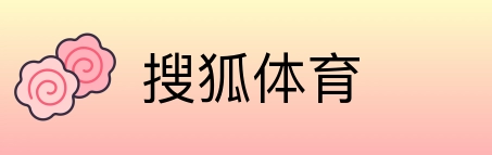 搜狐体育 Logo